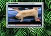 make you an ad page to submit to facebook and twitter small1