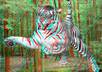 make your photo into 3D small1