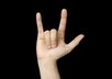 teach you 50 different American Sign Language signs 