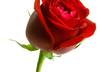 tell you how BEAUTIFUL you are