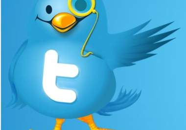 add more than 1000 real human and active twitter followers to your twitter account big1