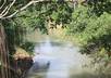help you with ecotourism in Leyte, Philippines small1