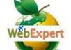 create a Tour and Travel, Hotel based website in asp or php at per half an hour