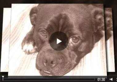 turn photos of your pet into this UNFORGETTABLE video story delivered in 24 hours or less, guaranteed big1