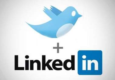 get You Up to 1000 LinkedIn Connections from REAL People and Tweet your LinkedIn Profile for Viral Effect big1