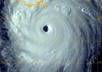 put your website in the eye of the Katrina thus blowing out every single competitor that is on your way