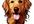 make a cartoon style portrait of your pet, your face or your favorite thing