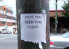 Tumblr_l63igry8j71qz6f9yo1_500_large