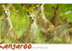 send a postcard from Australia/Melbourne to anywhere