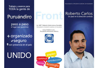 design a professional and attractive BROCHURE big1