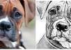 Drawing