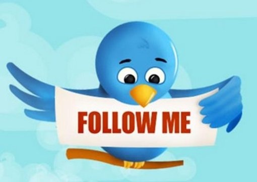 give you 10k Twitter IDs from Travel niche just big1