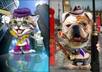 caricature of your pet