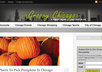 make an AWESOME website or blog for you, on one tiny condition