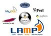 install/configure basically customize any LAMP script