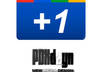 put a Google +1 button on your web site