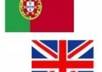 translate anything up to 250 words from English into perfect Portuguese and the other way around
