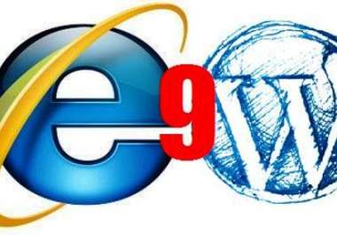 correct your Wordpress theme that doesnt run properly on Internet Explorer 9 big1