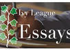 write an Ivy League quality paper of any type