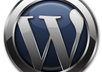 work on your WordPress website or blog