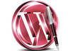 fix your wordpress errors IMMEDIATELY wp master,quality work,express service