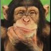 monkeypaw