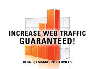 send 20,000 targeted visitors to your website/blog big1