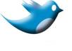 tweet about your website to 6000+ followers