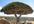 give you 137 High Quality Plr Articles on Nintendo, PSP