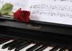 write a poem of your choice topic