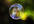 put your face in a bubble