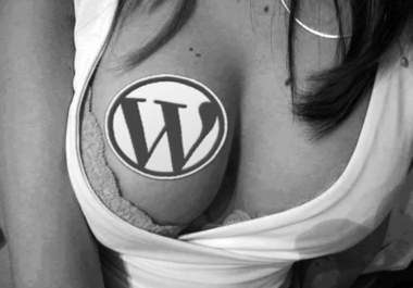 install Wordpress and a free theme of your choice big1
