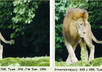 crop or Resize and convert any photo to any size you wish and save it in any format you choose