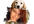 create a beautiful image of a cute little dog holding your portrait photo with its mouth
