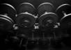 give you a custom designed workout plan based on your specific needs and limitations in 24 to 48 hours