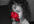 color selection on two photos of your choice within 24 hours