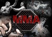 create a permanent backlink to your site on my popular MMA ufc homepage