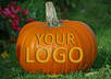 put your logo or name etched / carved on a pumpkin