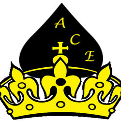 acekingagencies