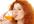 send you 200 Weight Loss, Dieting, Fitness, Atkins Diet, Healthy Eating and Bodydetox plr articles