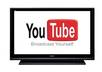 provide 2000 Real Human views,100 likes,50 Video related comments to your youtube video