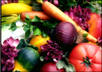 create a raw food diet plan for weight loss