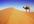 give you a professional detailed travel guide ebook for any part or state of of INDIA