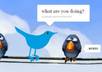 tweet anything you wish to my 7500 online marketing niche followers