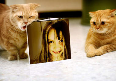 create a beautiful image of two cute kittens holding your portrait photo big1