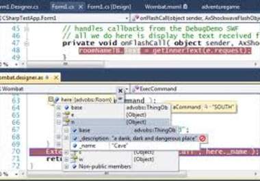 debug you c sharp, asp dotnet, javascript, c program big1