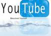 deliver 350 youtube views