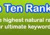 help keywords of your site to get a top 10 ranking in all the major search engines