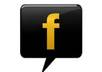 publish your website, service, product through 5500 facebook fans