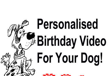 create A Personalised Video For Your Dogs Birthday big1